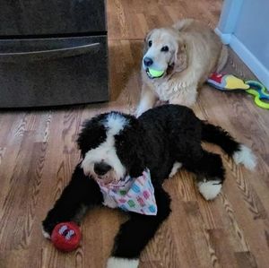 Meet your Posher, Vicky